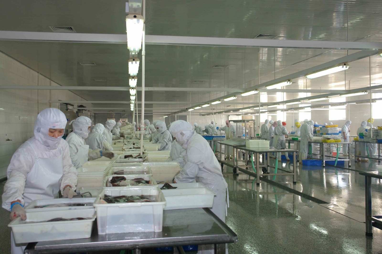 食品廠應用方案